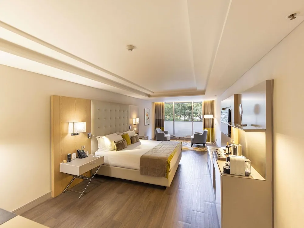 Deluxe Süit, 1 Çift Kişilik Yatak, Engellilere Uygun, Park Manzaralı