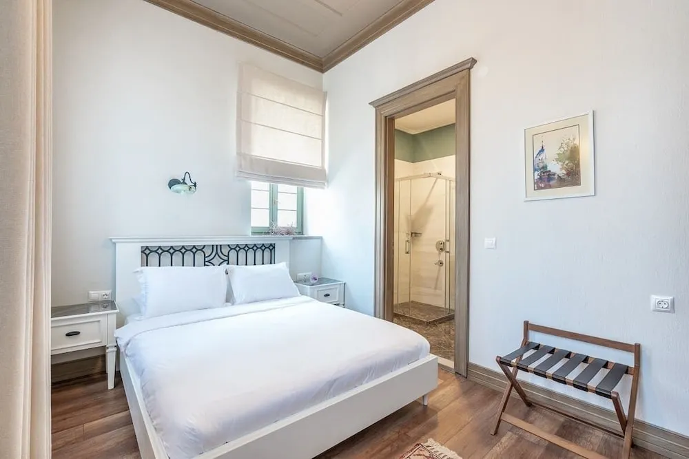 Elia Antique Deluxe Room