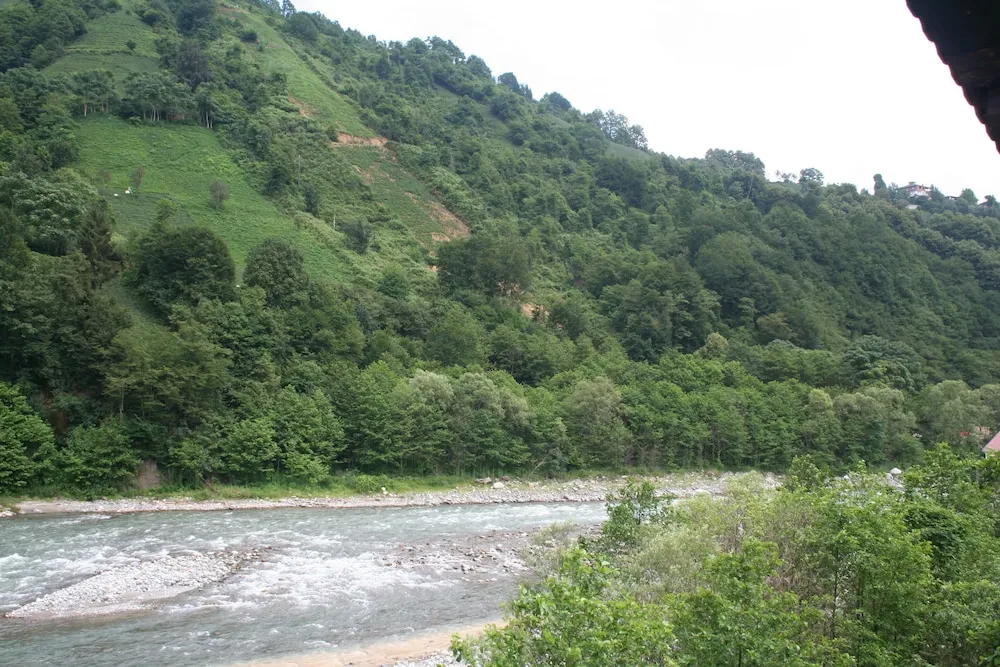 Basic Bungalov, 1 Yatak Odası