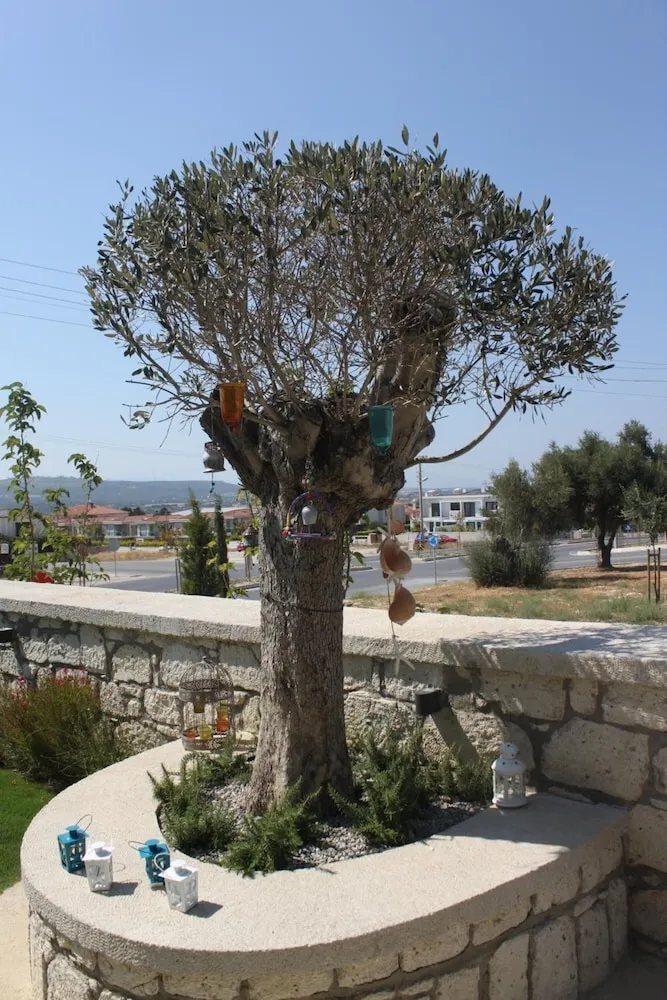 Konaklama yeri alanı