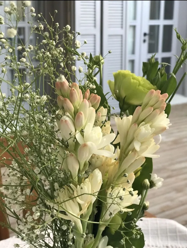 Comfort Üç Kişilik Oda