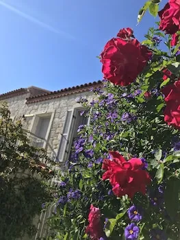 Alacati Cona Butik Otel