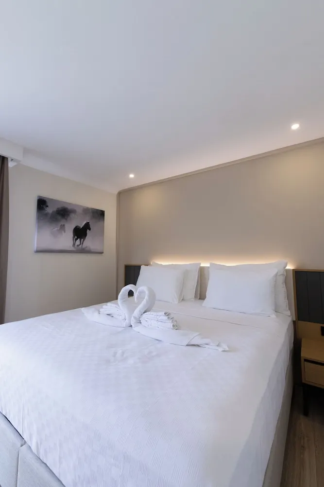 Deluxe Tek Büyük Yataklı Oda