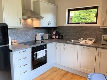 Birch Lodge 21 With Hot Tub, Newton Stewart