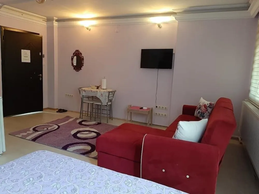 Standard Stüdyo, 1 Çift Kişilik Yatak ve Çekyat