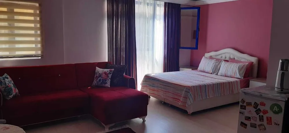 Standard Stüdyo, 1 Çift Kişilik Yatak ve Çekyat