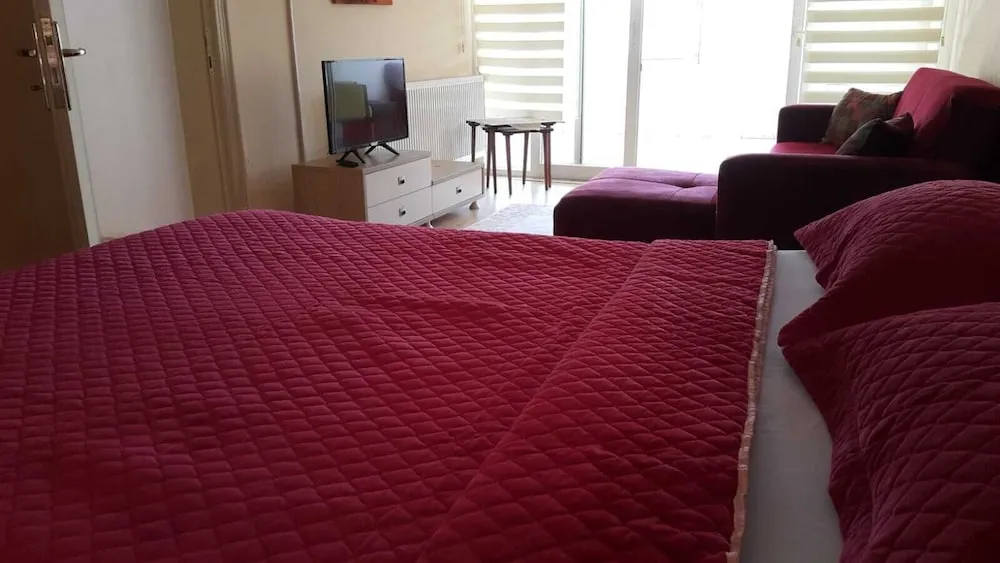 Standard Stüdyo, 1 Çift Kişilik Yatak ve Çekyat