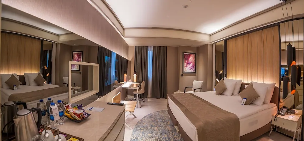 Standard Tek Büyük Yataklı Oda, 1 En Büyük (King) Boy Yatak