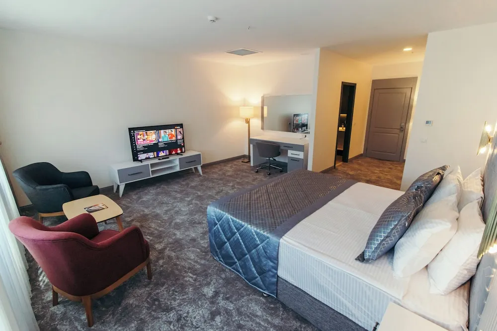 Premium Stüdyo Süit, 1 Yatak Odası, Şehir Manzaralı