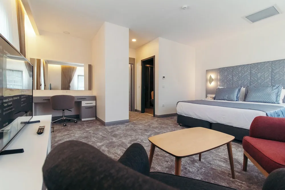 Premium Stüdyo Süit, 1 Yatak Odası, Şehir Manzaralı