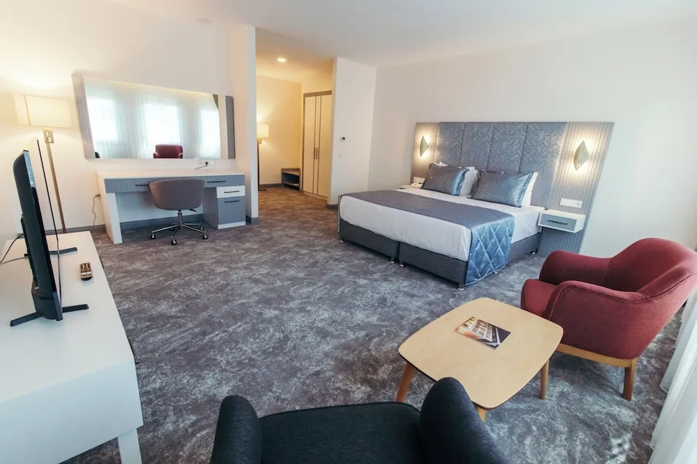 Premium Stüdyo Süit, 1 Yatak Odası, Şehir Manzaralı