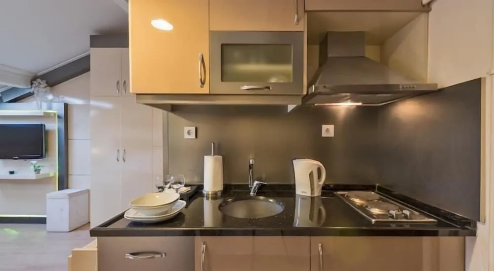 Çatı Katı Süiti (Penthouse)