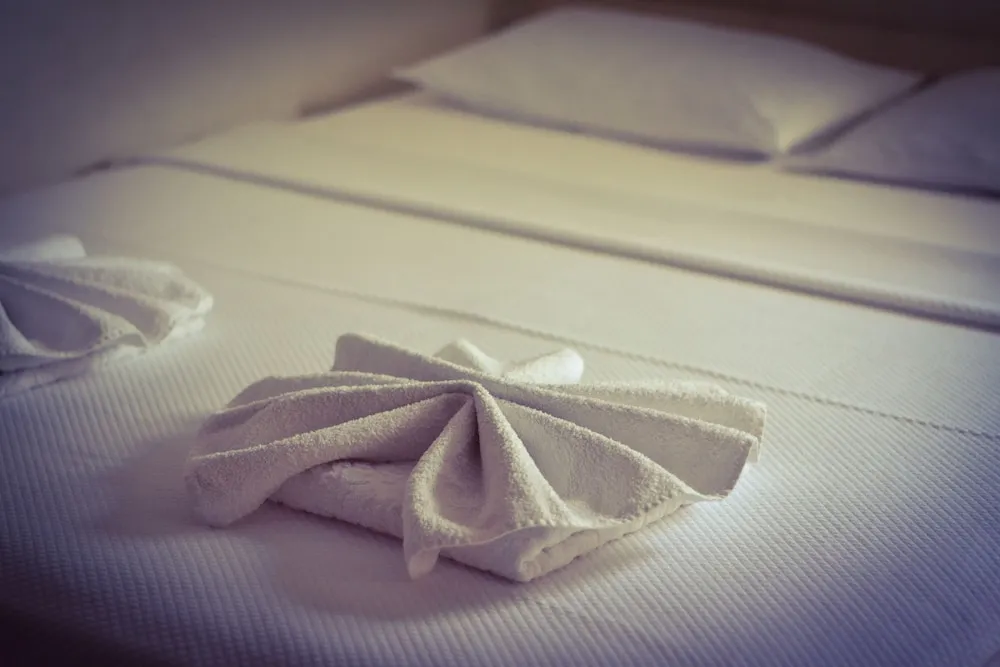 Standard Tek Büyük Yataklı Oda