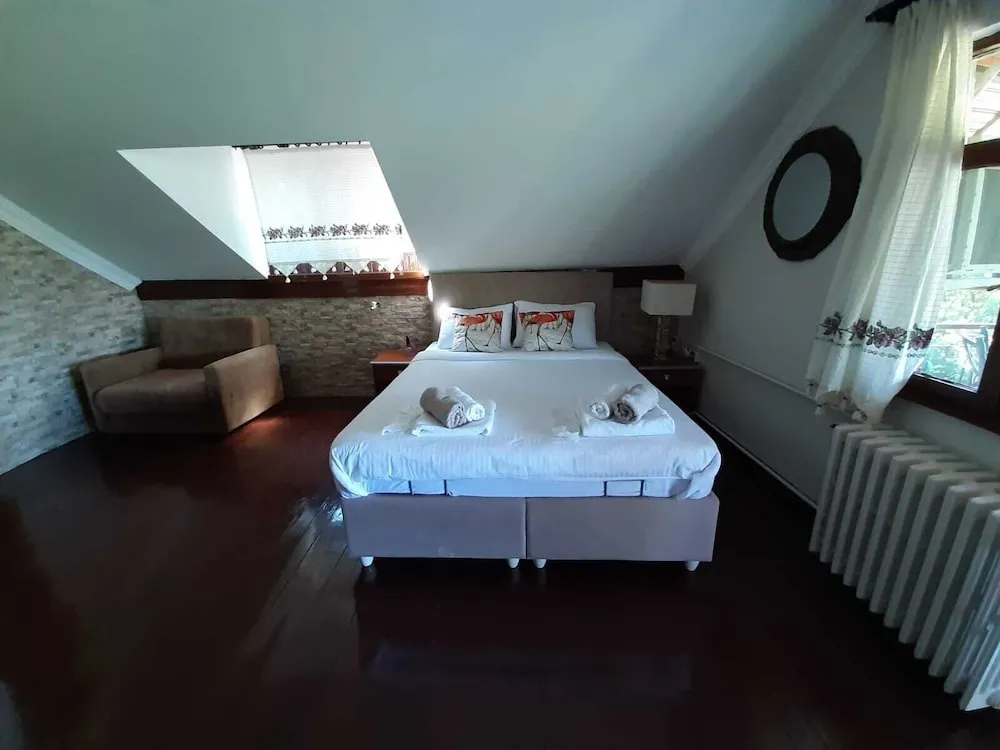 Süit