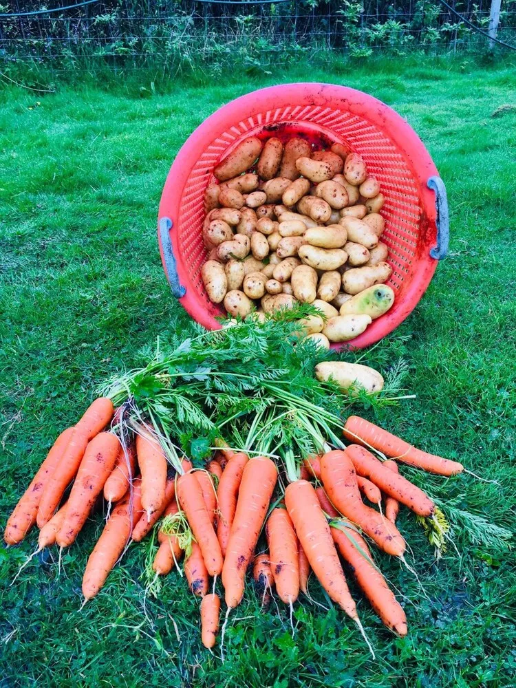 Konaklama yeri alanı