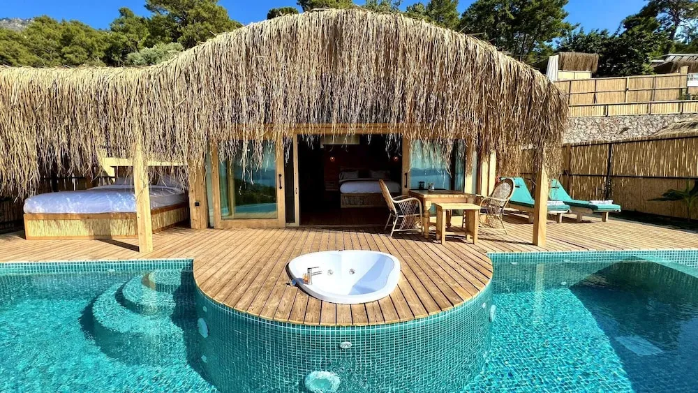 Mimoza ( Private Pool and Jacuzzi )