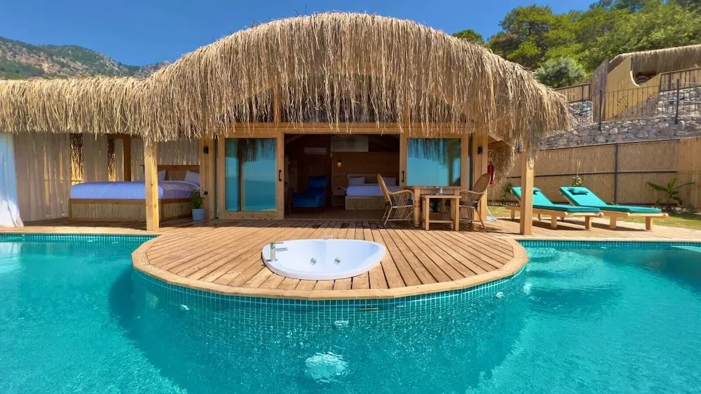 Cinar ( Private Pool and Jacuzzi)