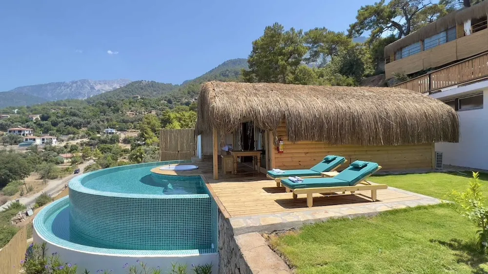 Palmiye ( Private Pool and Jacuzzi )
