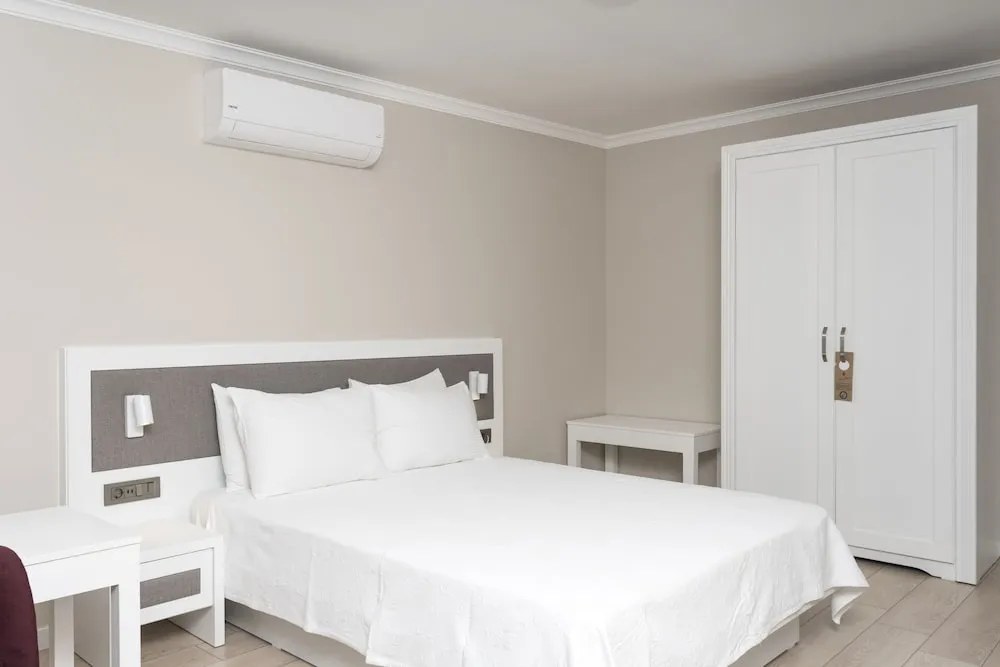 Deluxe Tek Büyük Yataklı Oda, 1 Çift Kişilik Yatak ve Çekyat, Şömine