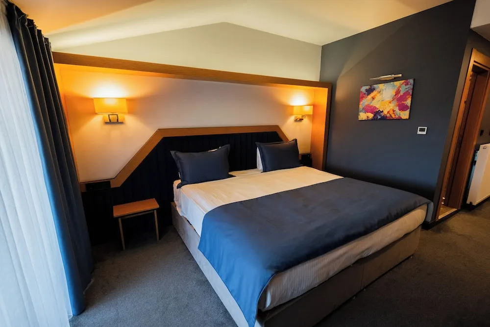 Deluxe Tek Büyük veya İki Ayrı Yataklı Oda, 1 Yatak Odası, Balkon, Şehir Manzaralı