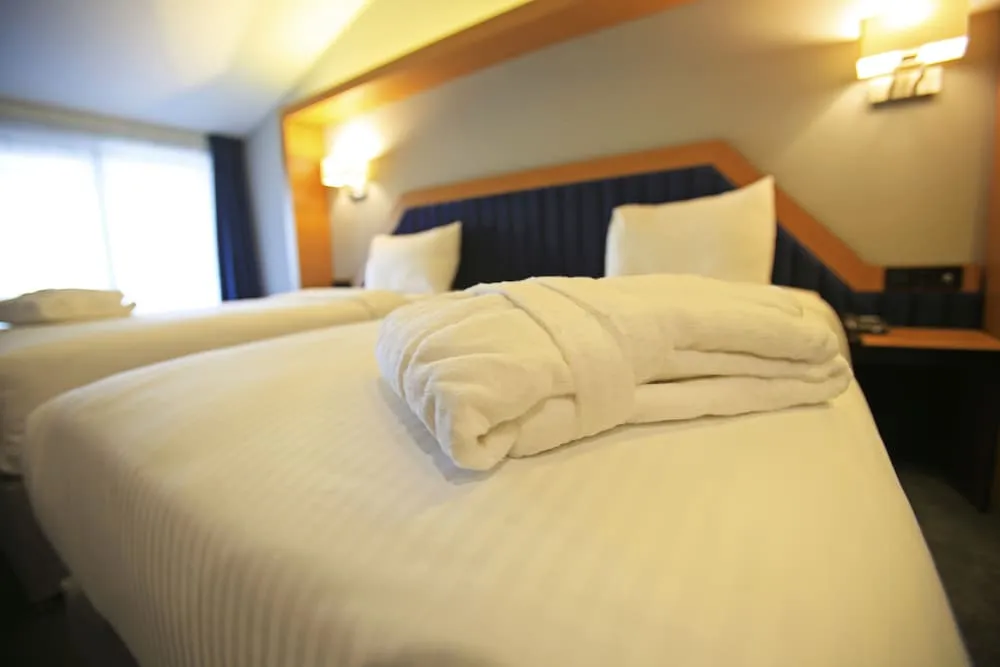 Deluxe Tek Büyük veya İki Ayrı Yataklı Oda, 1 Yatak Odası, Balkon, Şehir Manzaralı