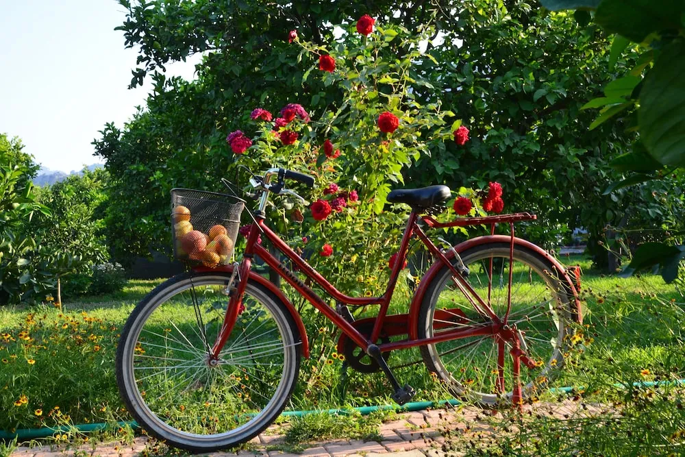 Bungalov