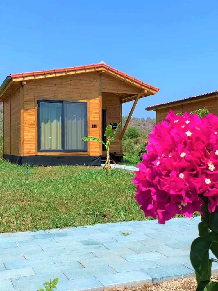 Deluxe Ağaç Ev