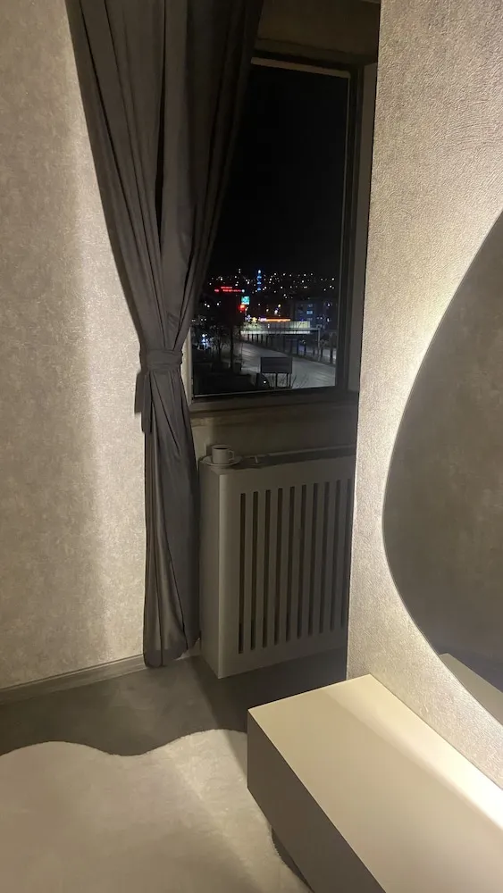 Standard İki Ayrı Yataklı Oda, Şehir Manzaralı