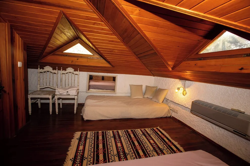 Standard Çatı Katı (Loft), 1 Çift Kişilik Yatak