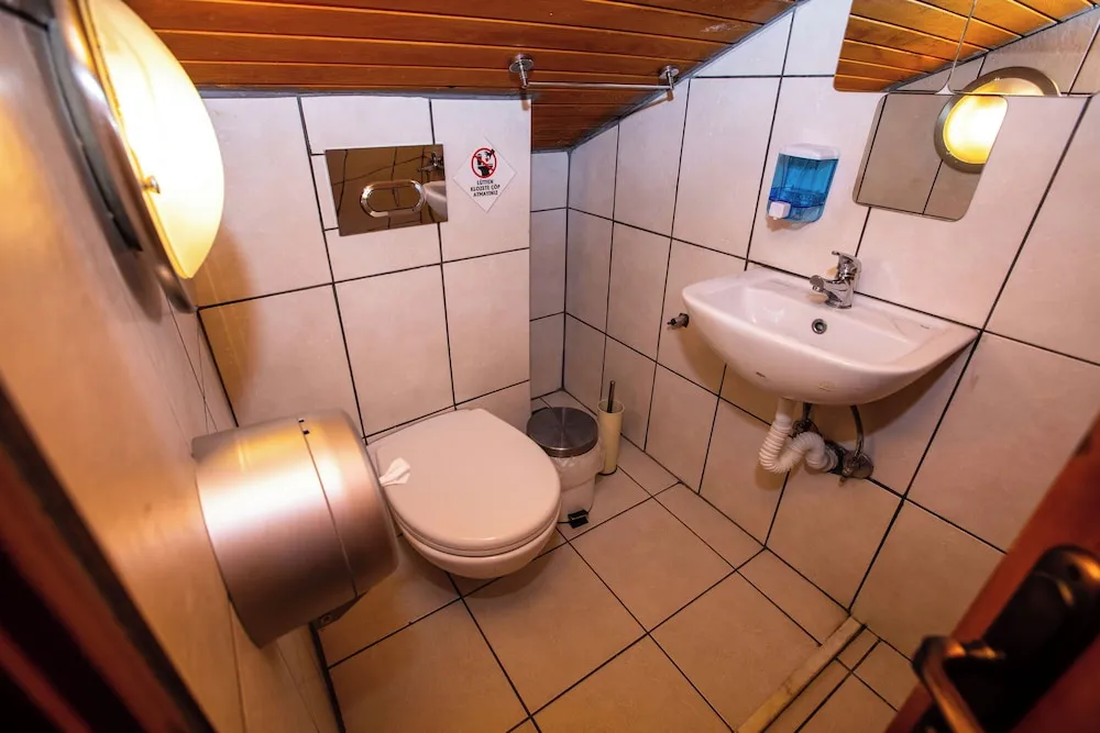 Standard Çatı Katı (Loft), 1 Çift Kişilik Yatak