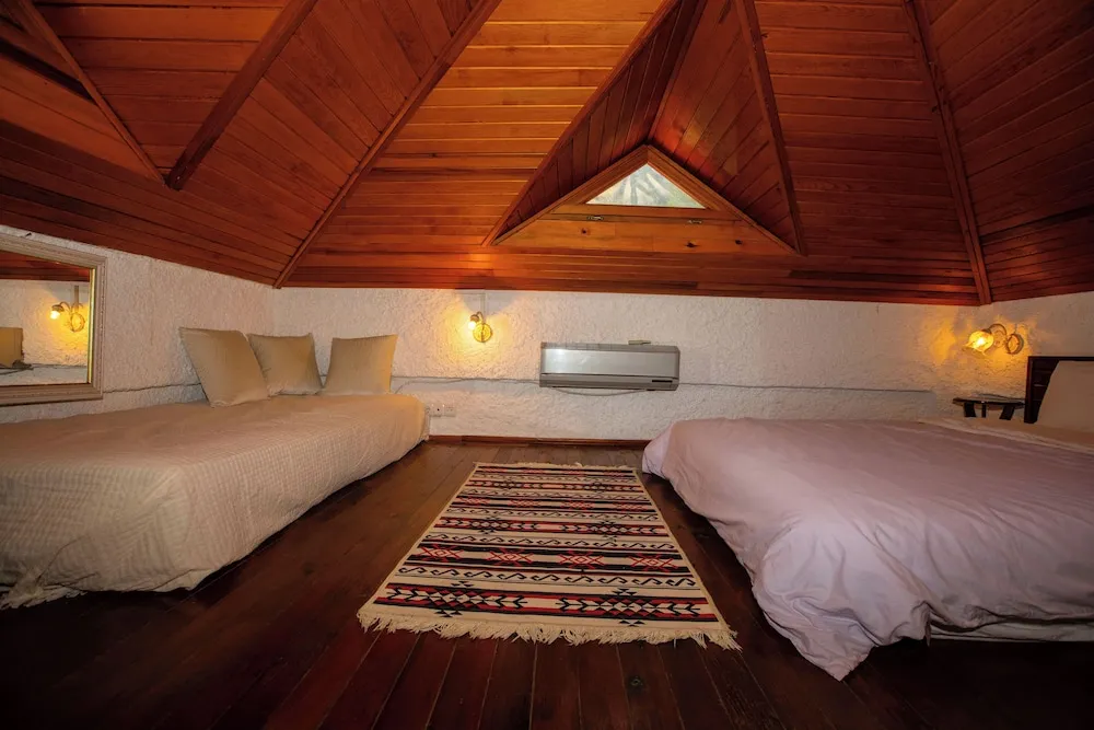 Standard Çatı Katı (Loft), 1 Çift Kişilik Yatak