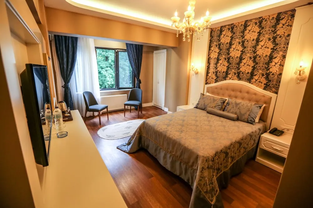 Standard Tek Büyük veya İki Ayrı Yataklı Oda, 1 Çift Kişilik Yatak, Şehir Manzaralı