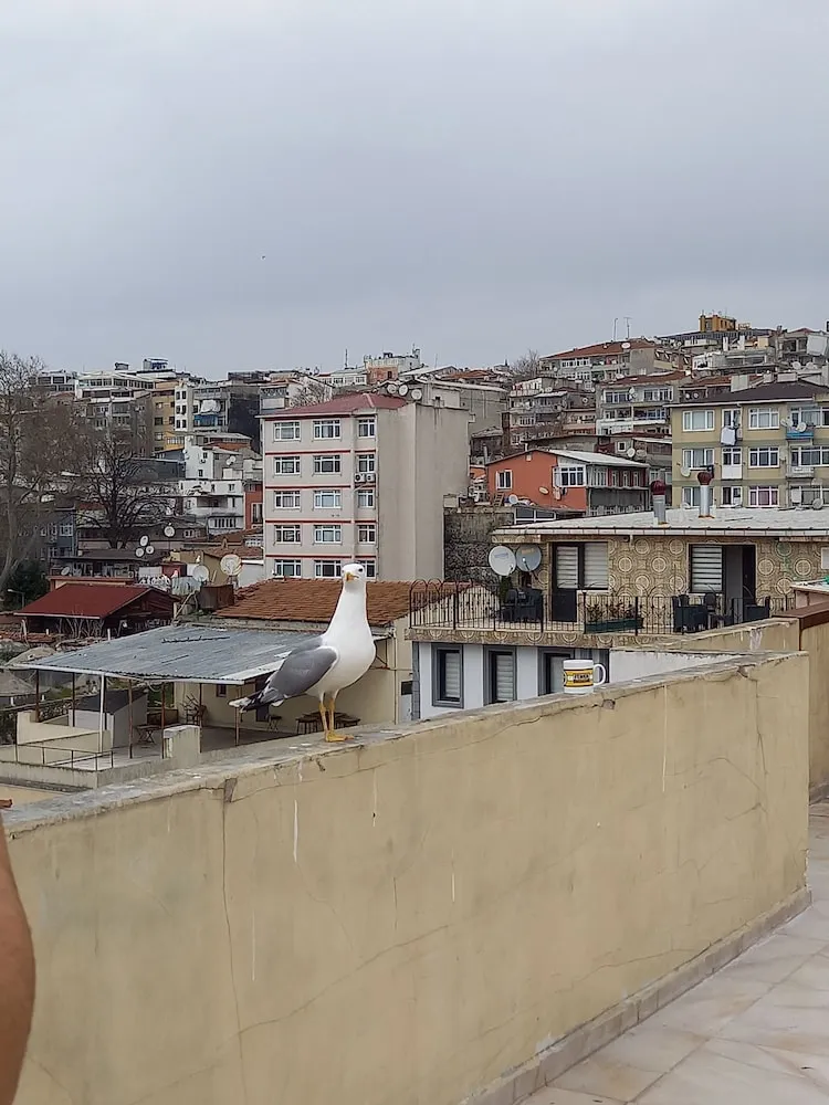 Standard Tek Büyük Yataklı Oda, 1 Büyük (Queen) Boy Yatak