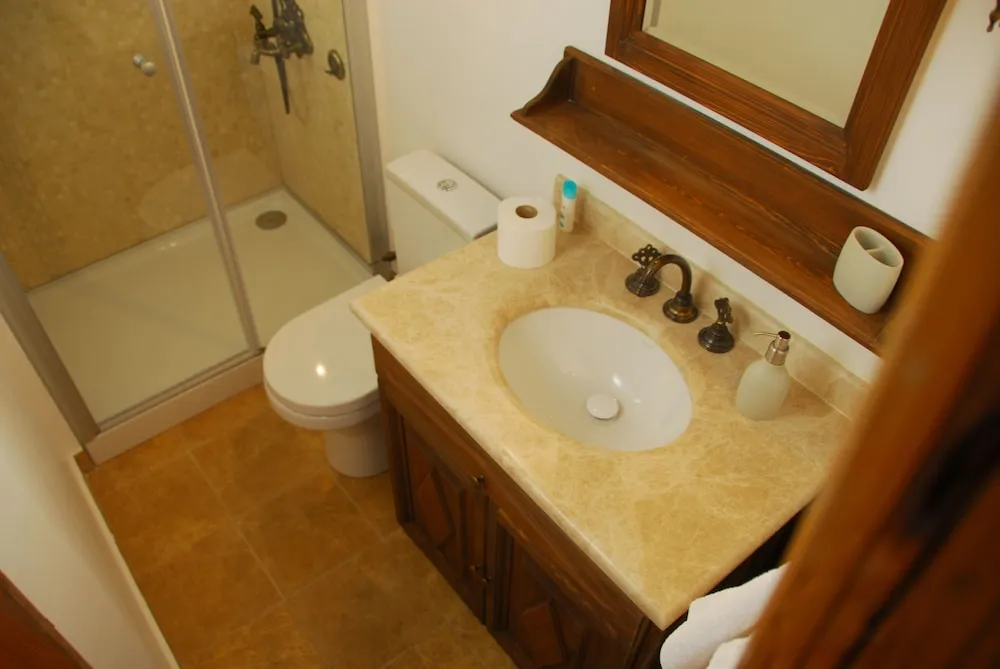 Traditional Tek Büyük Yataklı Oda, Ortak Banyo