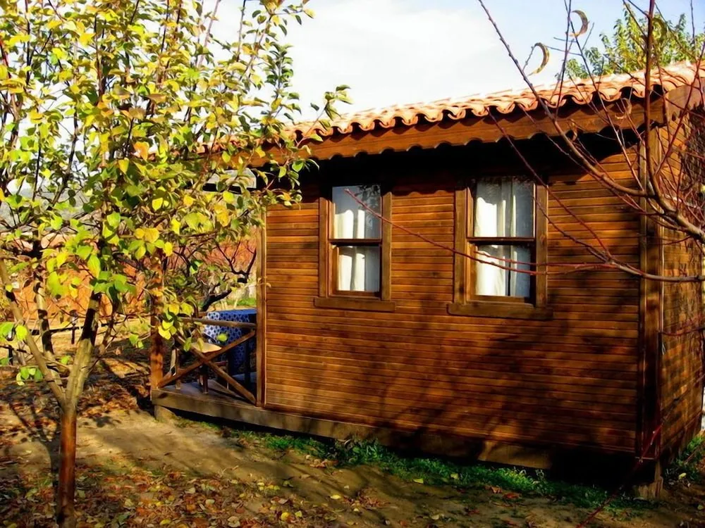 Standard Ağaç Ev