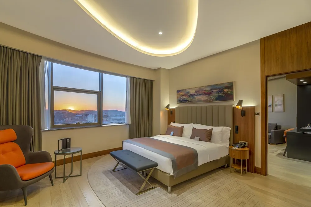 Süit, 1 Yatak Odası, Şehir Manzaralı